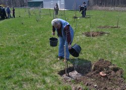 Загальноуніверситетські акції «Чисте довкілля» та «Посади дерево»
